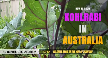 Kohlrabi Gardening Guide for Australians