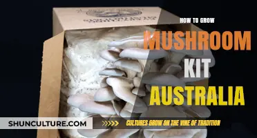 Mushroom Kits: Grow Your Own in Australia