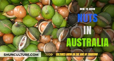 Grow Your Own Nuts: A Guide for Australians