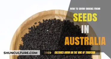Growing Onions from Seeds: A Guide for Australian Gardeners