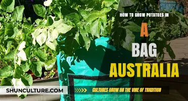Growing Potatoes in Bags: An Australian Guide