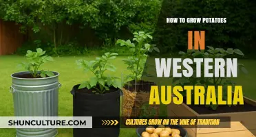 Growing Potatoes in Western Australia: A Step-by-Step Guide