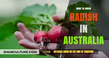 Radish Gardening Guide for Australians