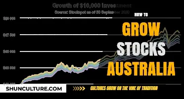 Grow Your Wealth: Stock Market Strategies for Australians
