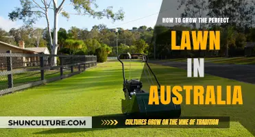 The Perfect Aussie Lawn: A Comprehensive Guide