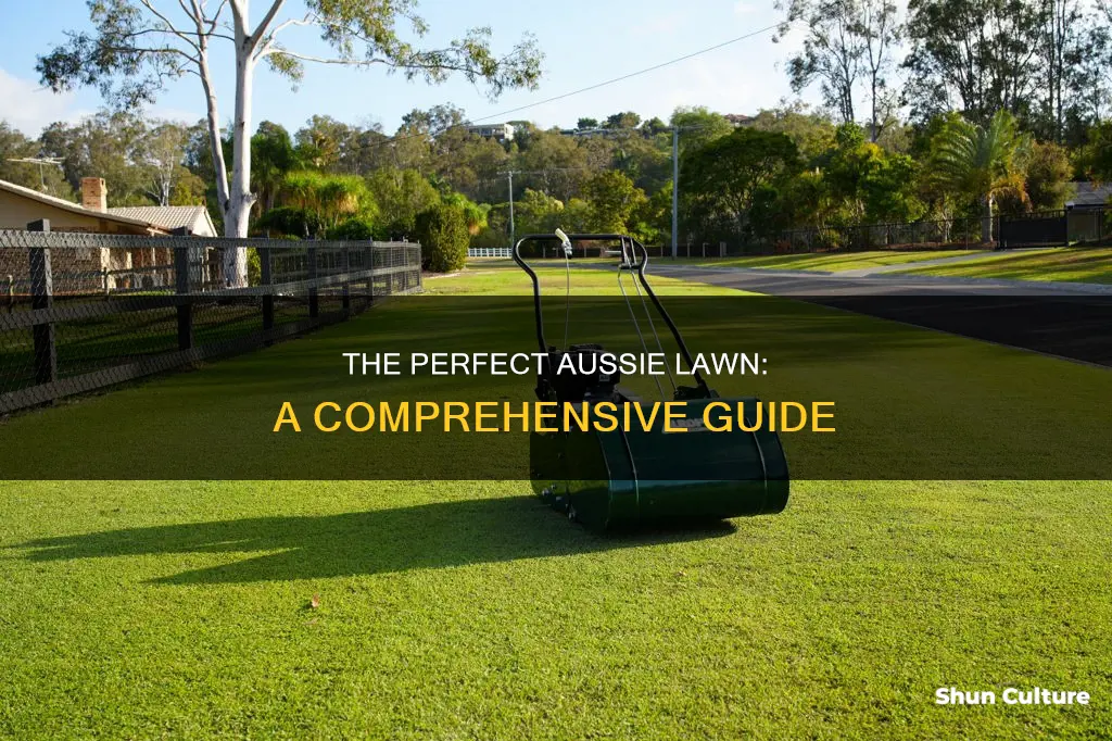 how to grow the perfect lawn in australia