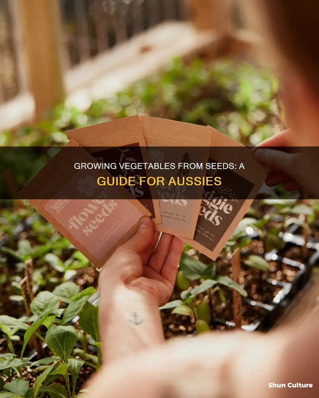 how to grow vegetables from seeds australia