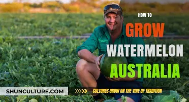 Grow Your Own Watermelon in Australia: A Step-by-Step Guide