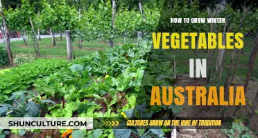 Winter Gardening in Australia: Grow Your Own Vegetables