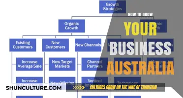 Expand Your Business Horizons: Strategies for Australia