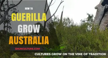 Guerilla Gardening in Australia: Tips and Tricks