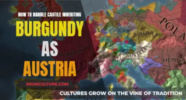 Navigating the Complexities: A Guide to Handling Castile's Burgundy Inheritance as Austria