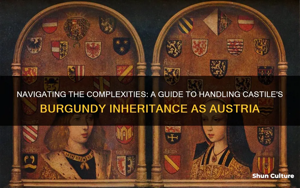 how to handle castile inheriting burgundy as austria