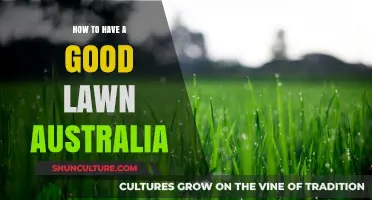 Australian Lawns: Secrets to a Lush, Green Garden