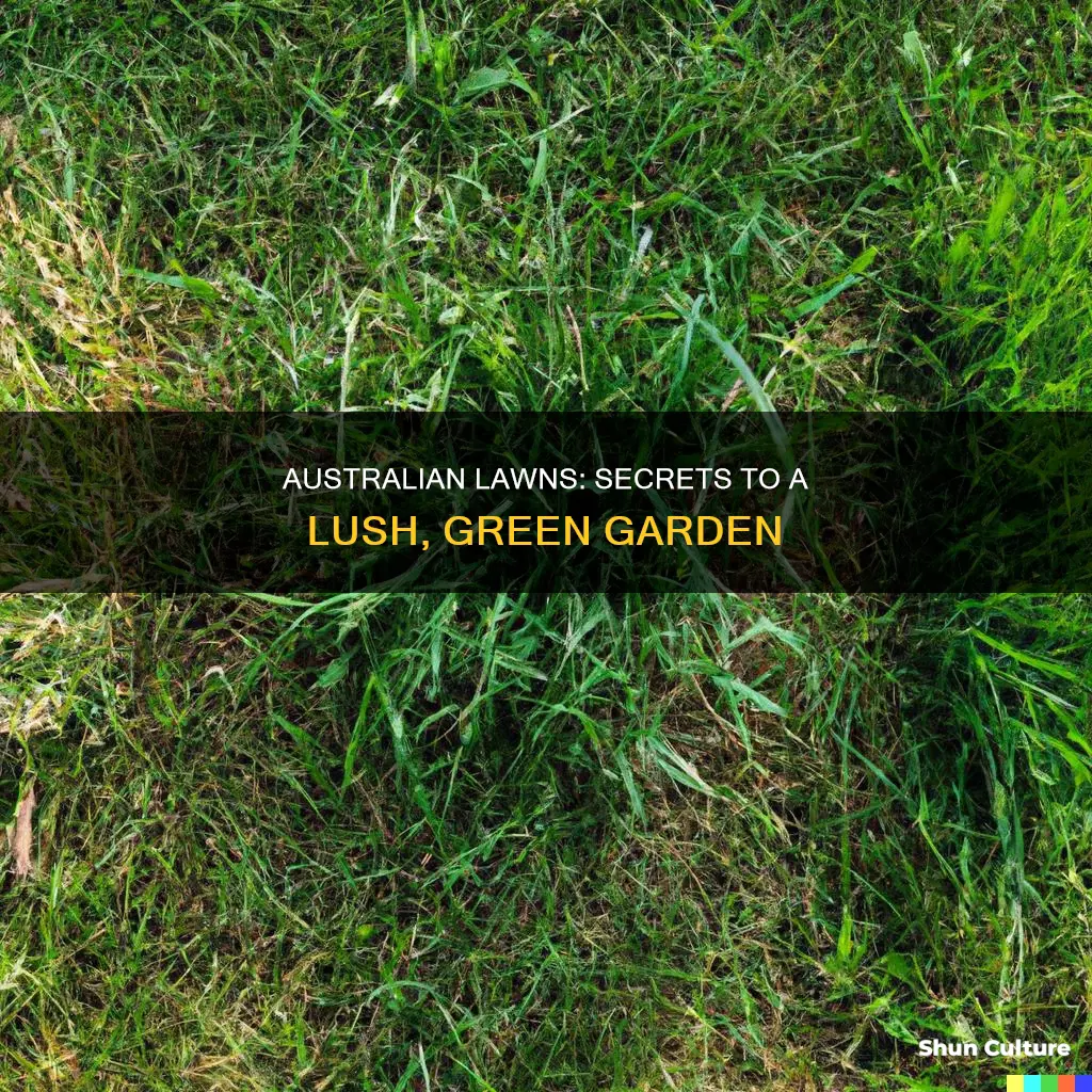 how to have a good lawn australia