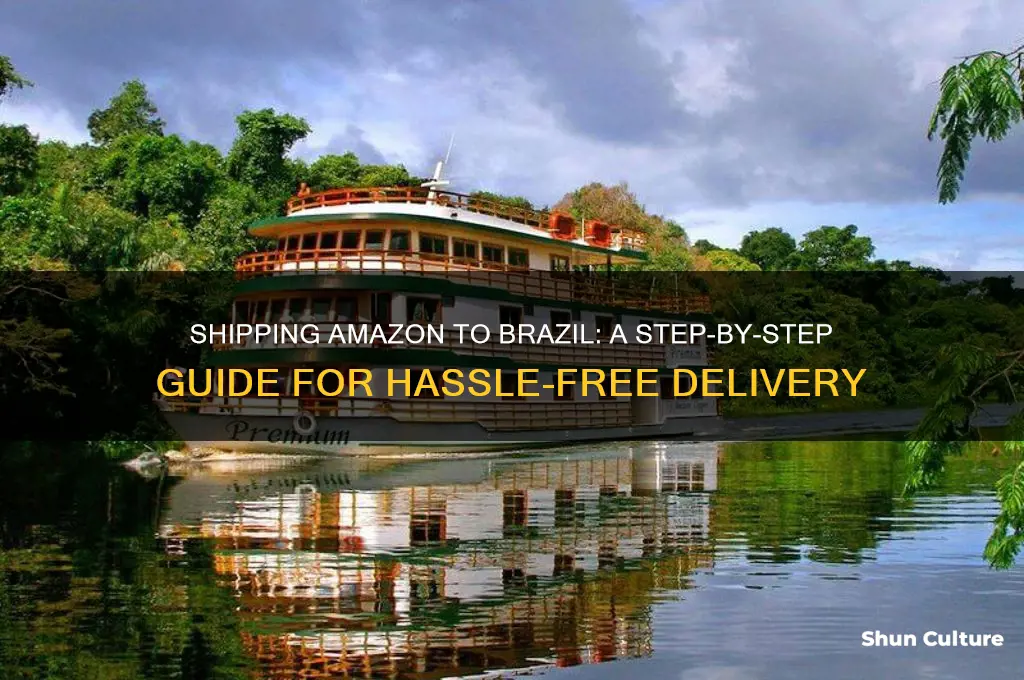 how to have amazon delivered to brazil