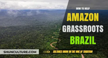 Supporting Amazon Grassroots Brazil: Empowering Communities, Preserving Forests, and Driving Change