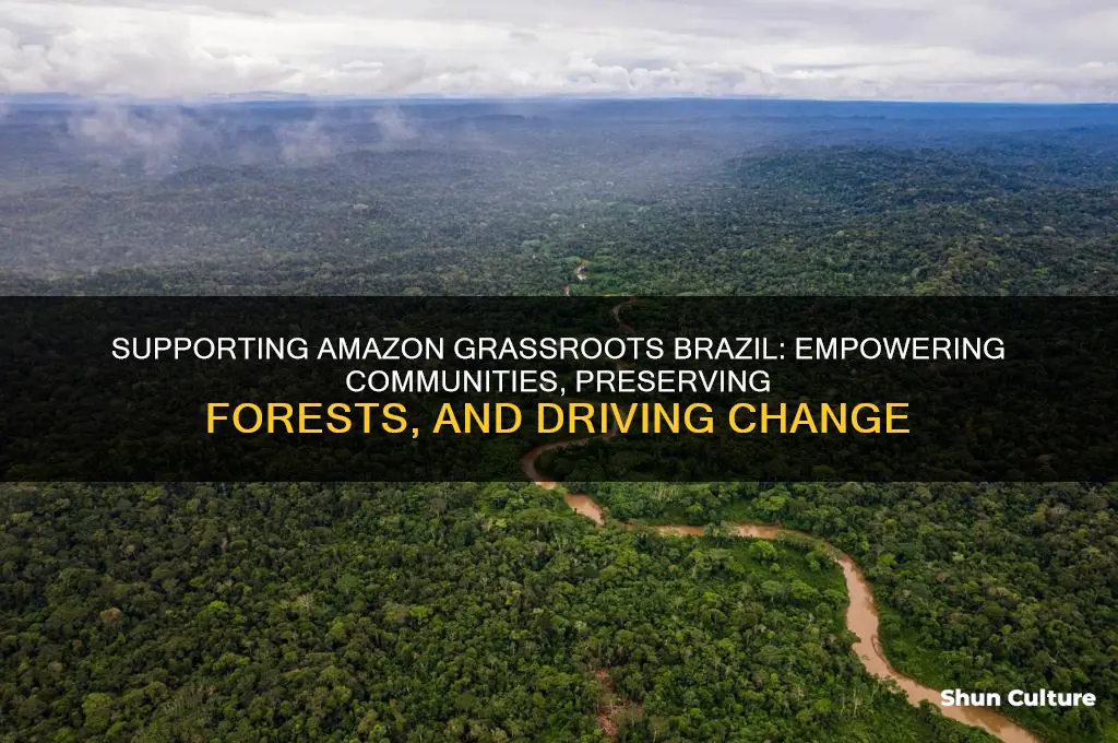 how to help amazon grassroots brazil