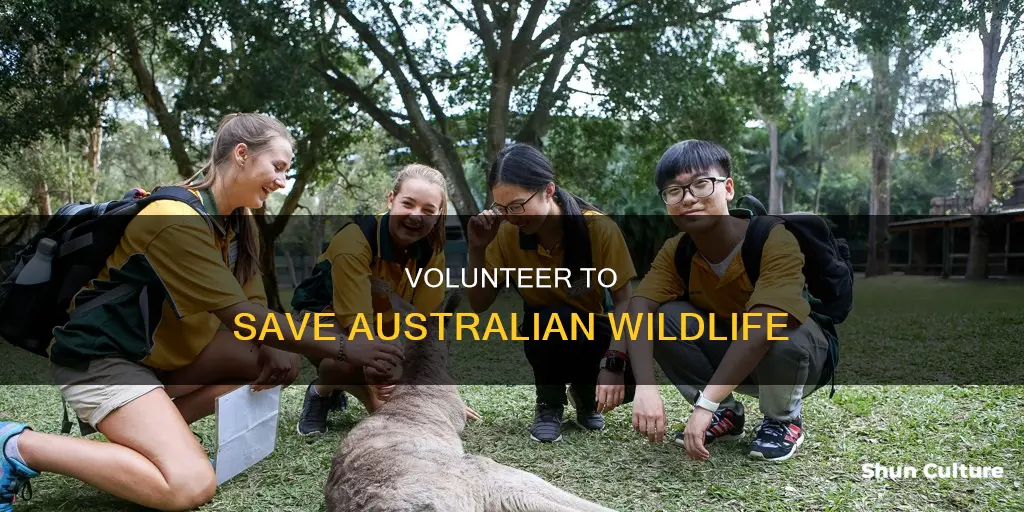how to help australian wildlife without money