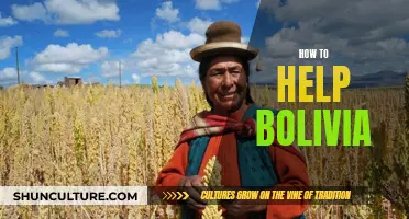 Bolivian Aid: Strategies for a Brighter Future