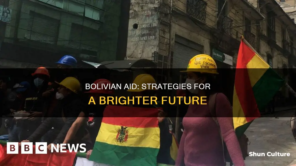 how to help bolivia