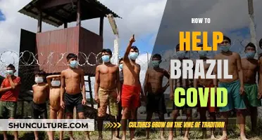 Supporting Brazil's COVID-19 Fight: Practical Ways to Help and Donate