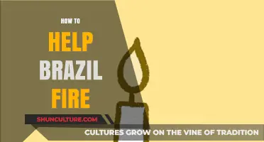Supporting Brazil's Fire Crisis: Effective Ways to Help and Donate