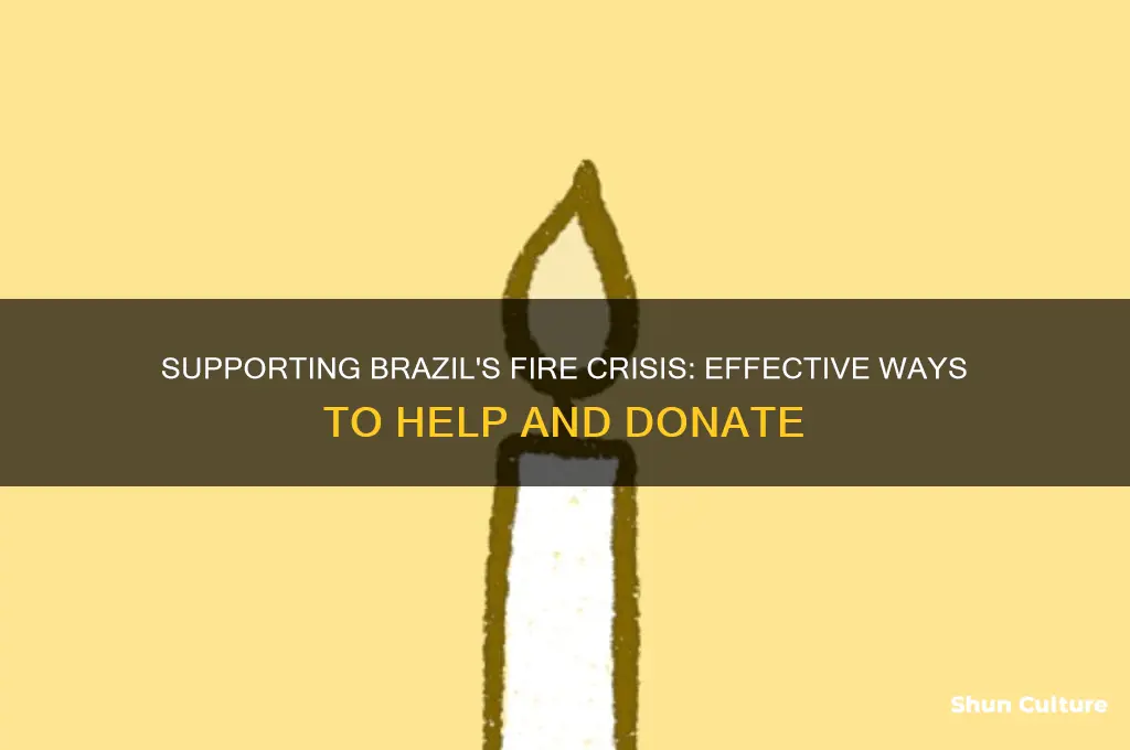 how to help brazil fire