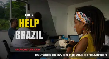 Empowering Brazil: Practical Steps to Support Its Growth and Resilience
