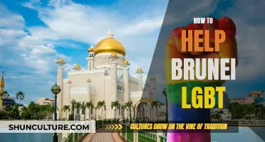 Empowering Brunei's LGBTQIA+ Community: Steps to Take