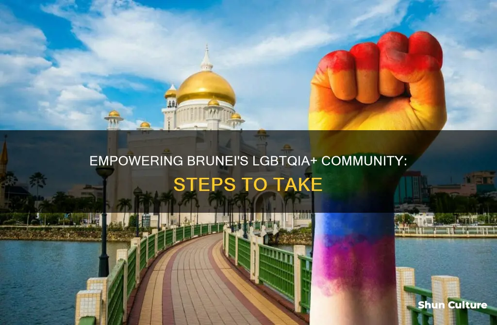 how to help brunei lgbt