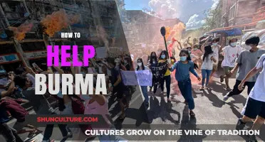 Empowering Change: A Guide to Supporting Burma's Journey