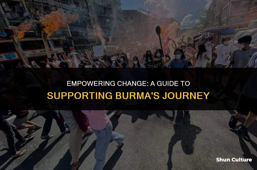 how to help burma