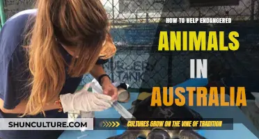 Protecting Australia's Wildlife: What You Can Do