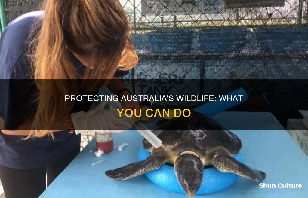 how to help endangered animals in australia