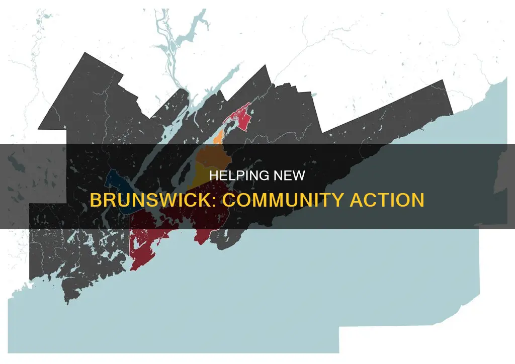 how to help new brunswick community