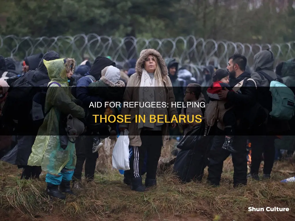 how to help refugees in belarus