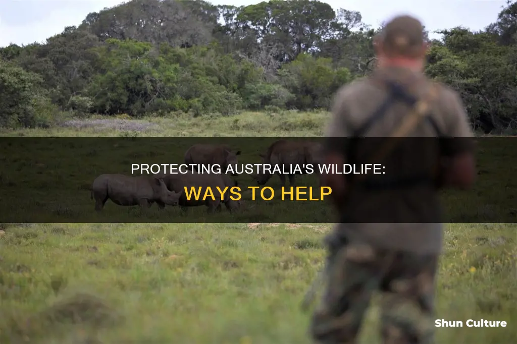how to help save animals in australia