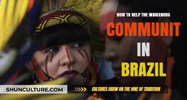 Supporting Brazil's Indigenous Communities: Practical Ways to Make a Difference