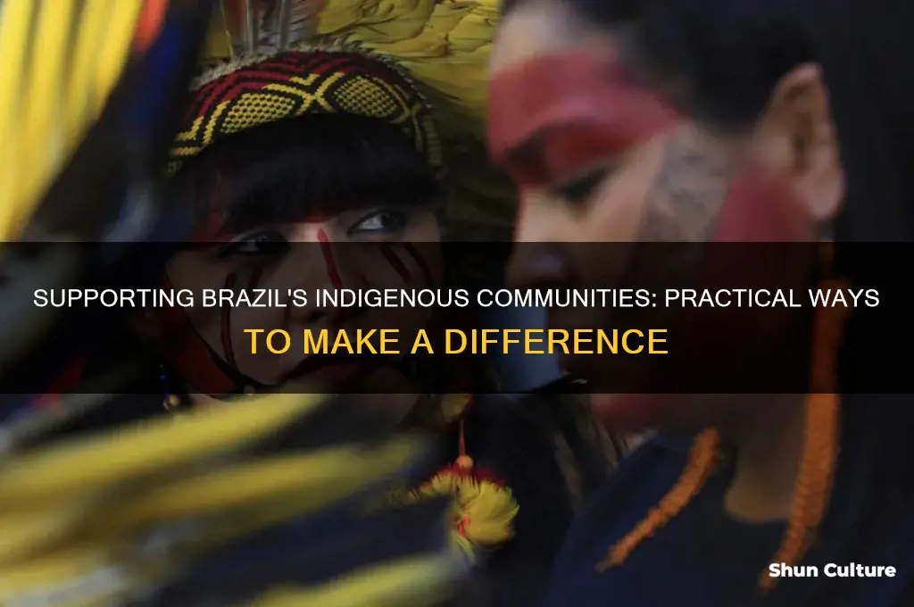 how to help the indigenous community in brazil