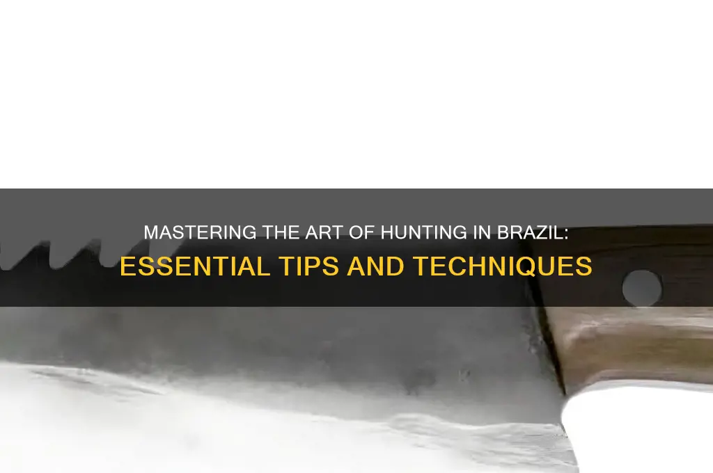 how to hunt in brazil