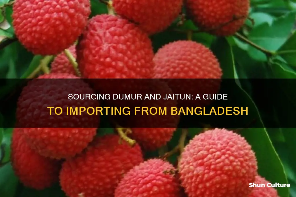 how to I get dumur and jaitun from bangladesh