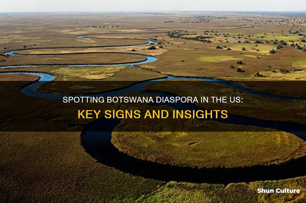 how to identify botswana diaspora in the us
