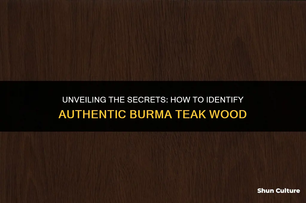 how to identify burma teak wood
