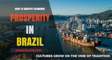 Recognizing Brazil's Economic Prosperity: Key Indicators and Growth Drivers