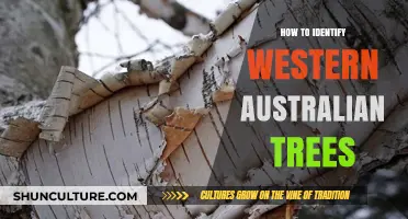 Exploring Western Australia: Identifying Unique Trees