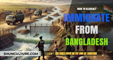 Risky Routes: Unauthorized Migration Strategies from Bangladesh Explained
