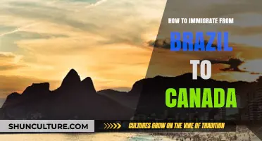 Immigrate from Brazil to Canada: Step-by-Step Guide for Success