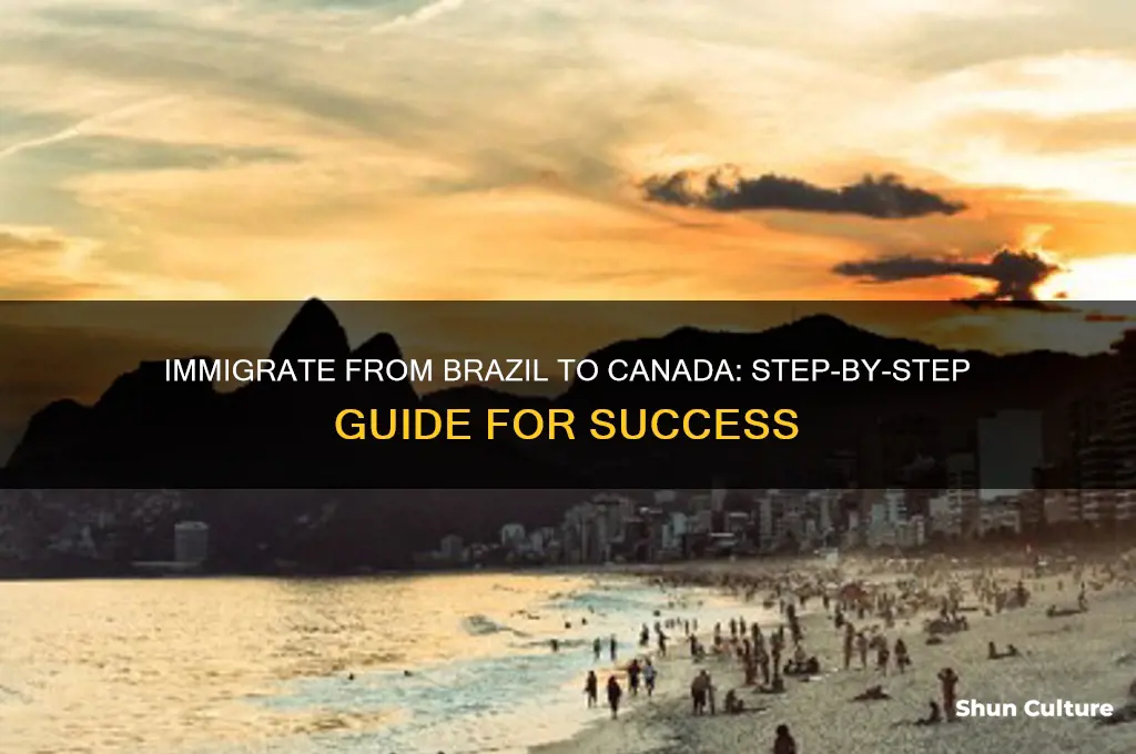how to immigrate from brazil to canada