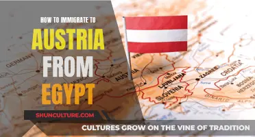 A Comprehensive Guide: Immigrating to Austria from Egypt